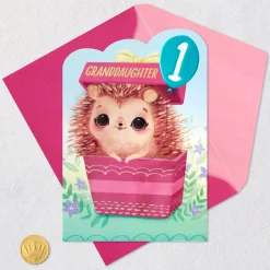 A Year of Dreams Come True First Birthday Card for Granddaughter