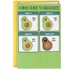 A Brief Guide to Avocados Funny Birthday Card