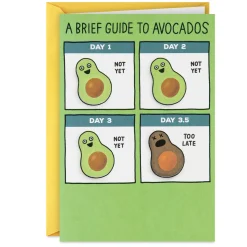 A Brief Guide to Avocados Funny Birthday Card