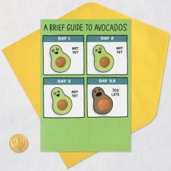 A Brief Guide to Avocados Funny Birthday Card