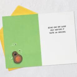 A Brief Guide to Avocados Funny Birthday Card