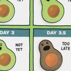 A Brief Guide to Avocados Funny Birthday Card