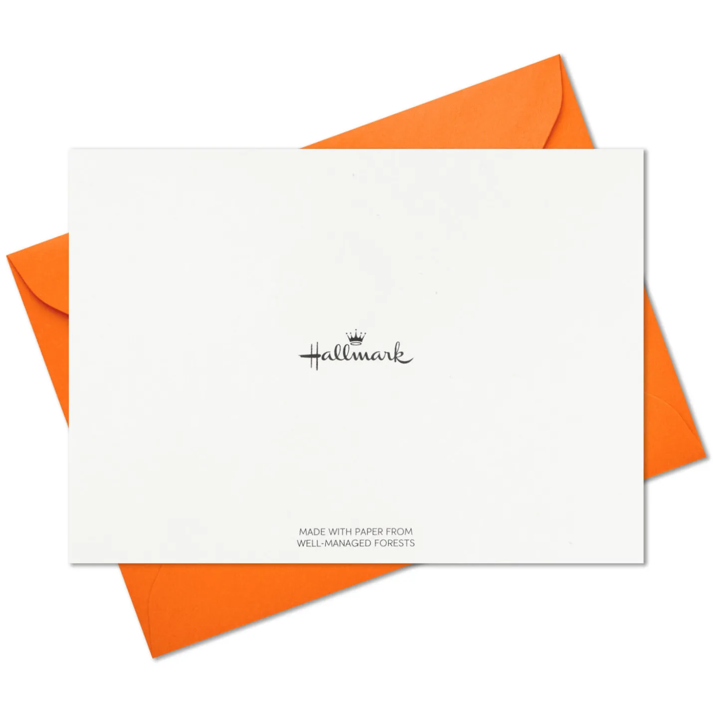 Abstract Doodles and Dots Boxed Blank Note Cards, Pack of 48