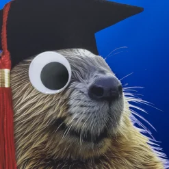 A Dam Good Job Beaver Graduation Card