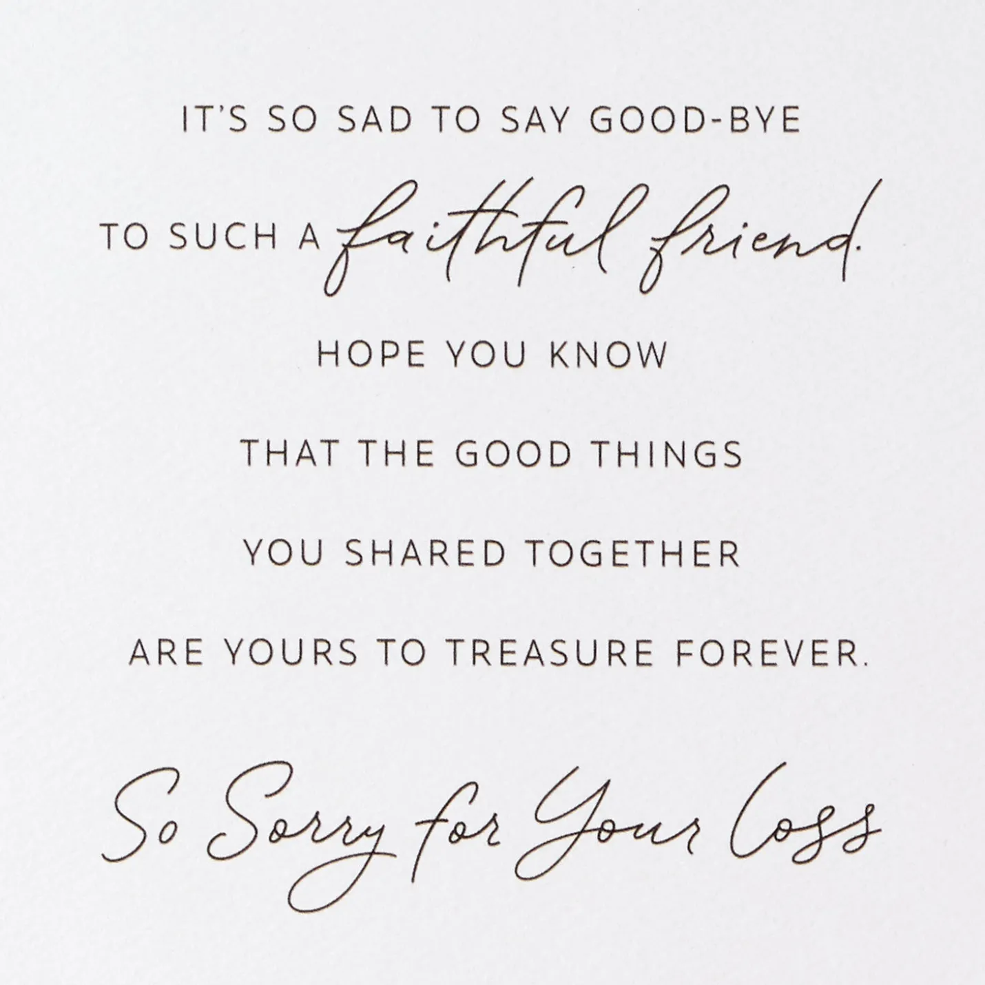 A Faithful Friend to Treasure Sympathy Card for Loss of Dog