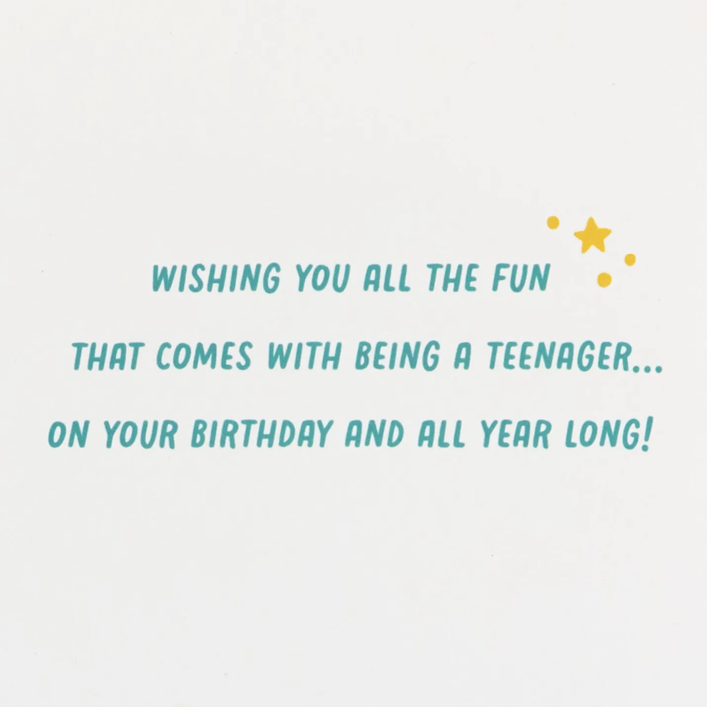 All the Fun 13th Birthday Card