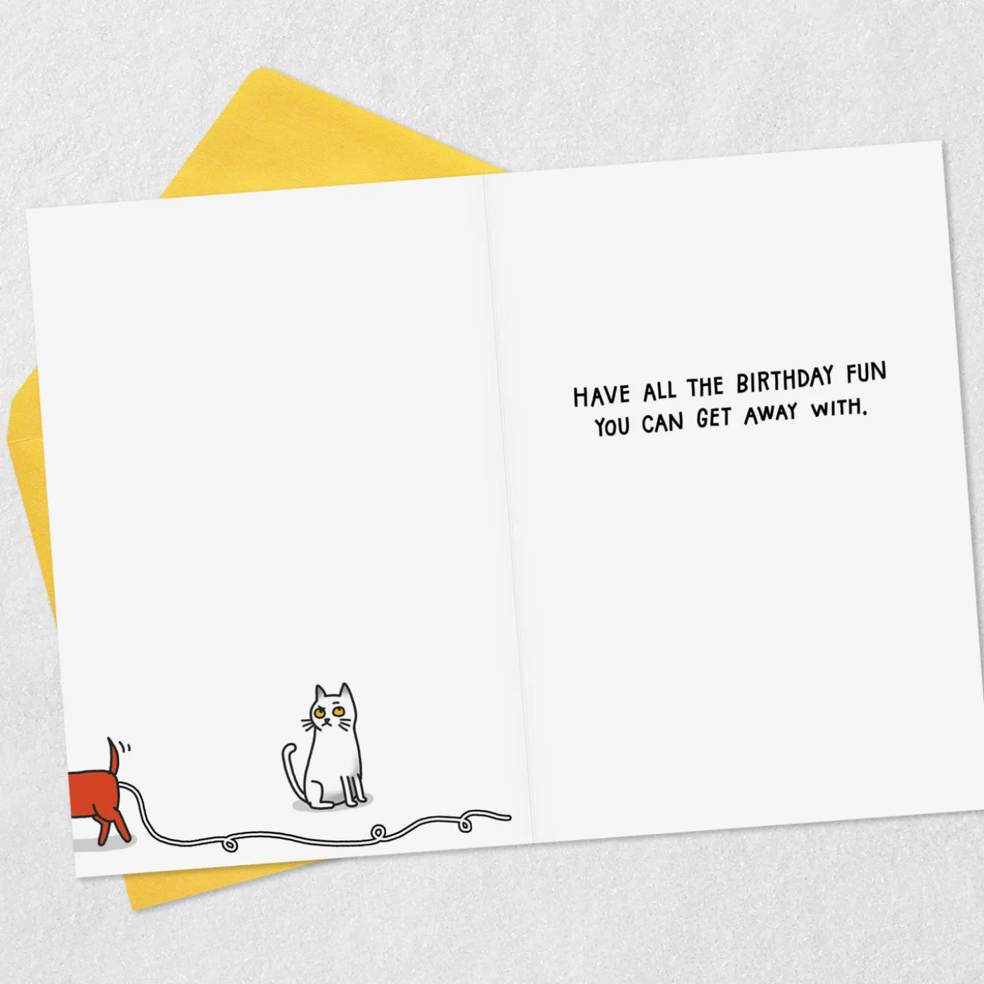 All the Fun You Can Get Away With Funny Birthday Card
