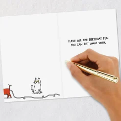 All the Fun You Can Get Away With Funny Birthday Card
