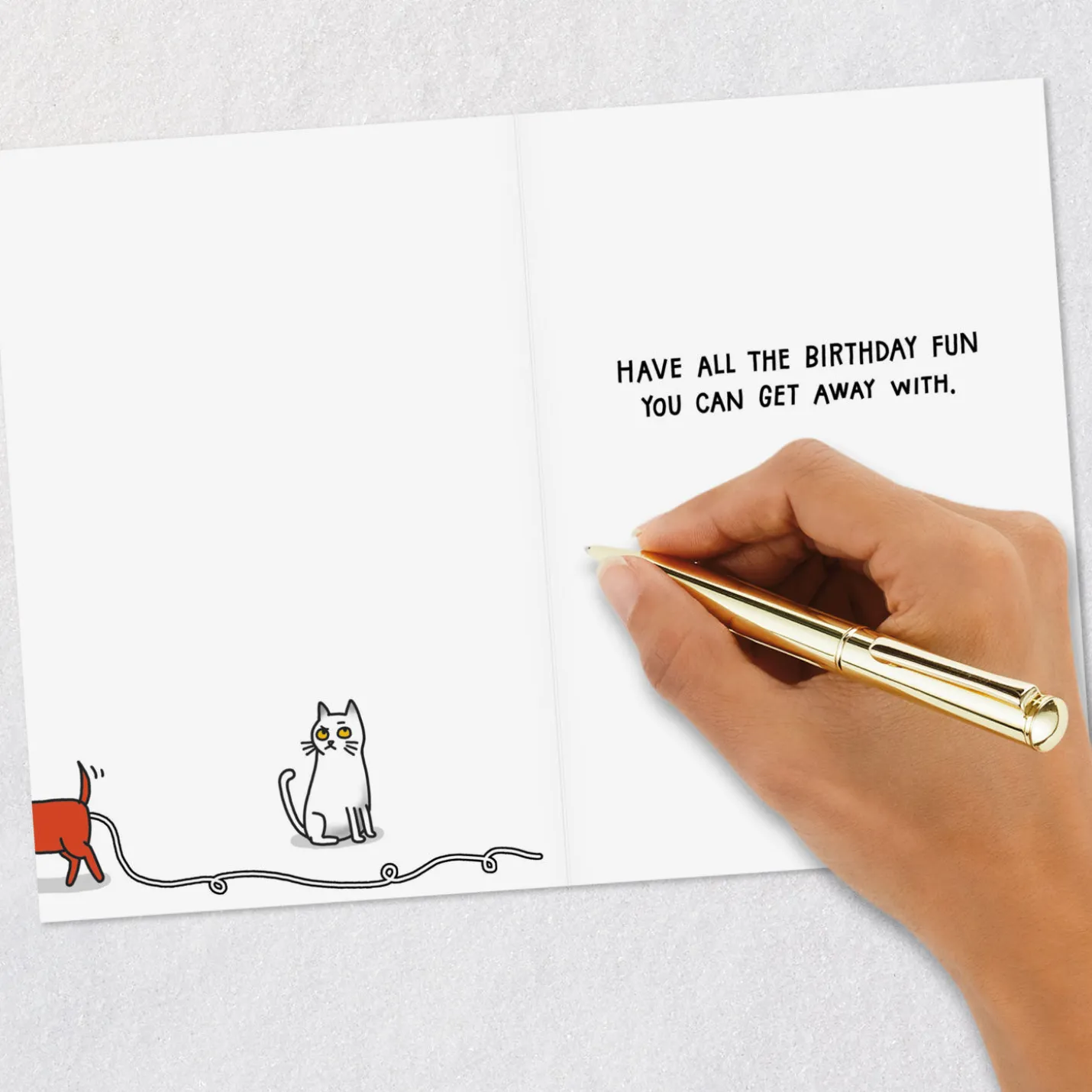 All the Fun You Can Get Away With Funny Birthday Card