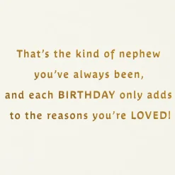 All the Reasons You're Loved Birthday Card for Nephew