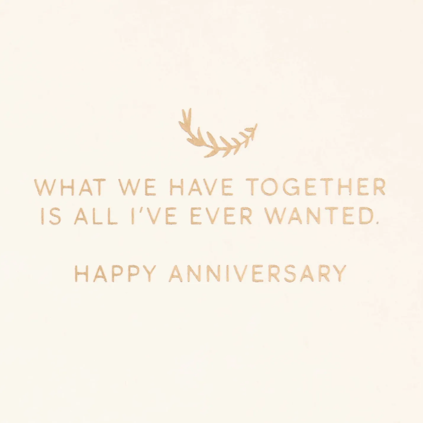 All I've Ever Wanted Anniversary Card