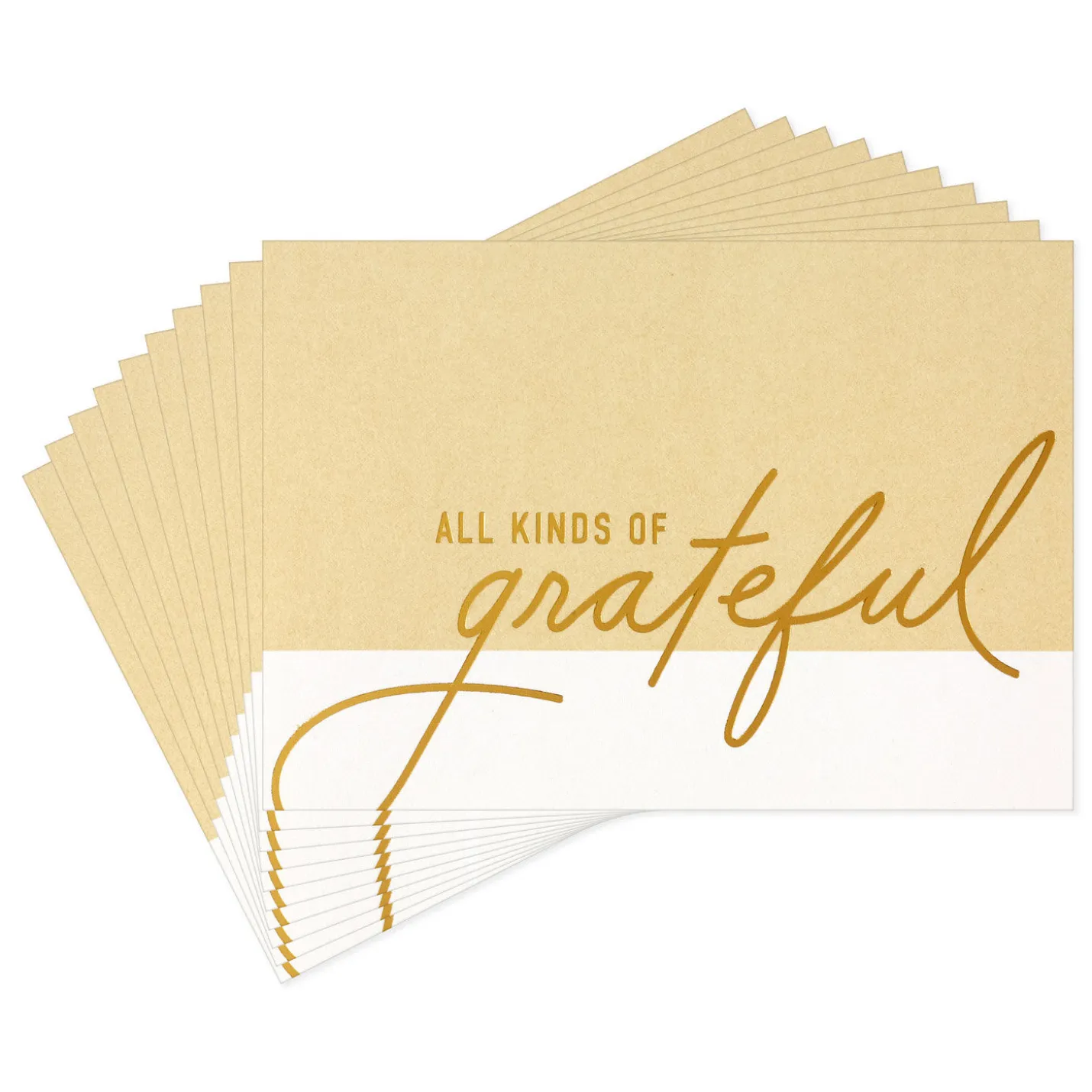 All Kinds of Grateful Blank Thank You Notes, Pack of 10