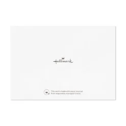 All Kinds of Grateful Blank Thank You Notes, Pack of 10