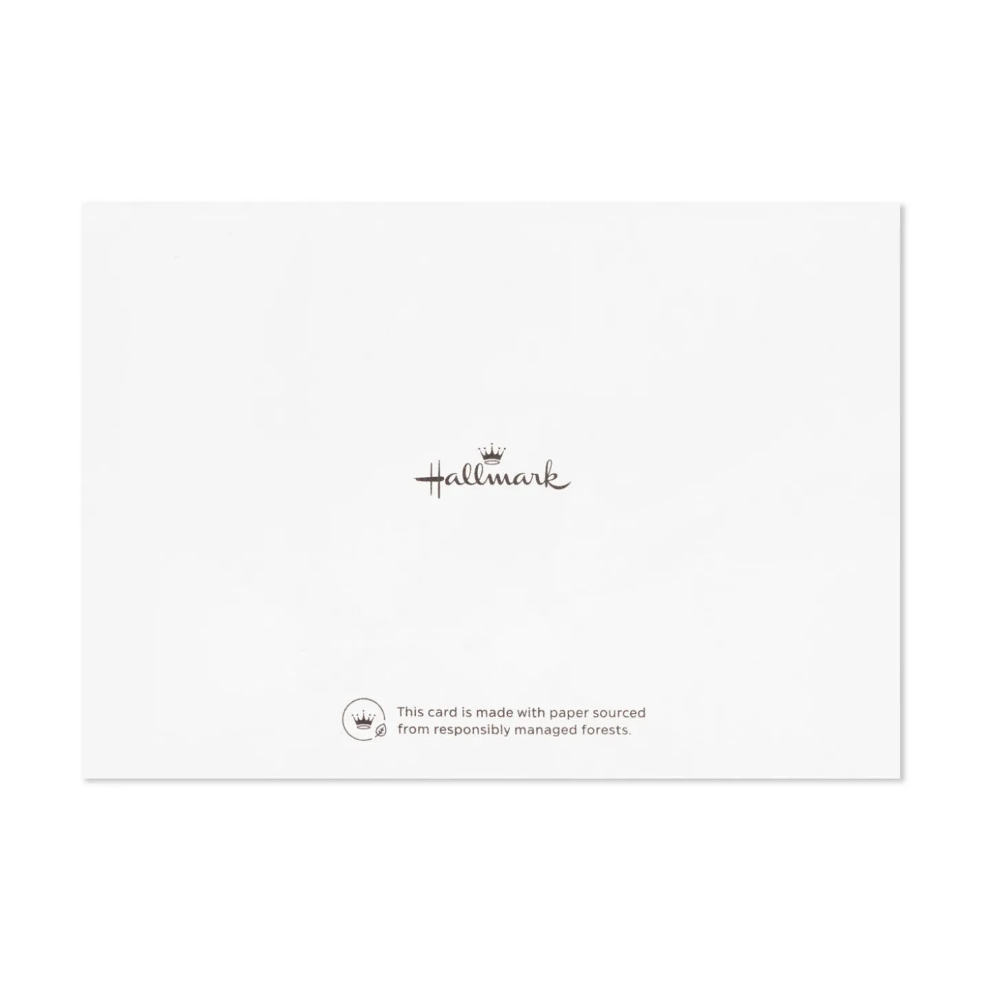 All Kinds of Grateful Blank Thank You Notes, Pack of 10
