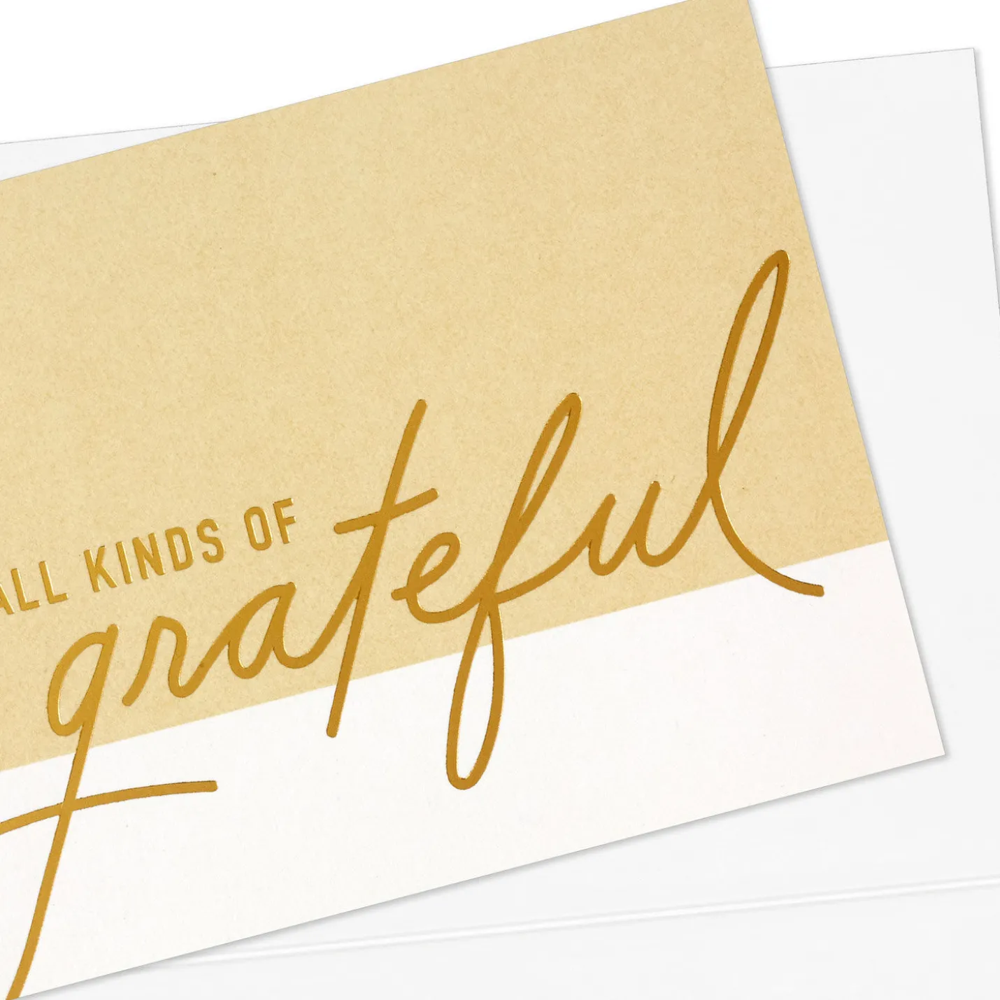 All Kinds of Grateful Blank Thank You Notes, Pack of 10