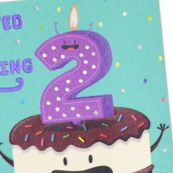 All the Fun 2nd Birthday Card