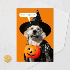 All Your Favorite Treats Funny Halloween Card