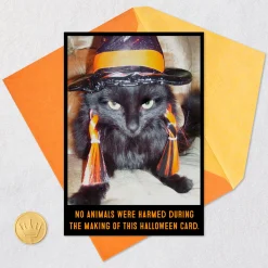 Angry Black Cat in Witch's Hat Funny Halloween Card