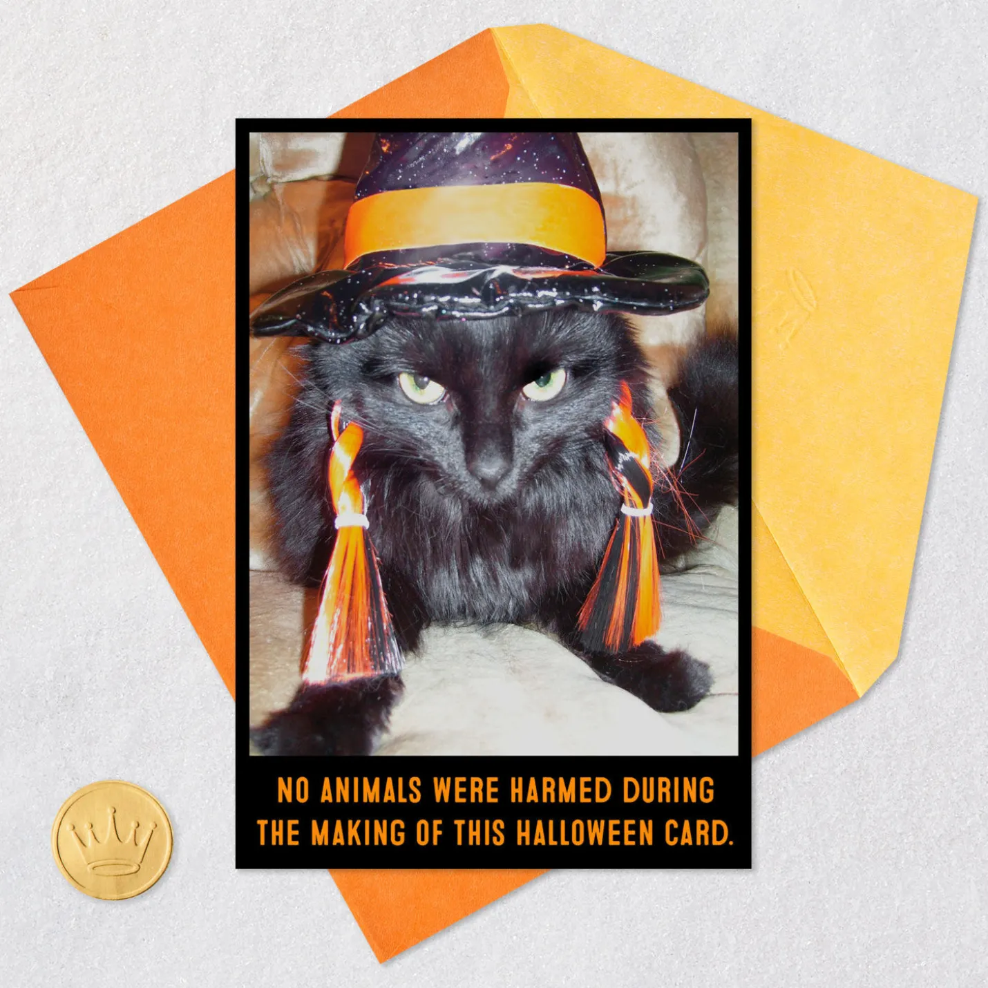 Angry Black Cat in Witch's Hat Funny Halloween Card