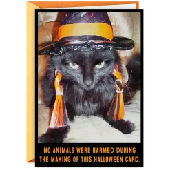 Angry Black Cat in Witch's Hat Funny Halloween Card