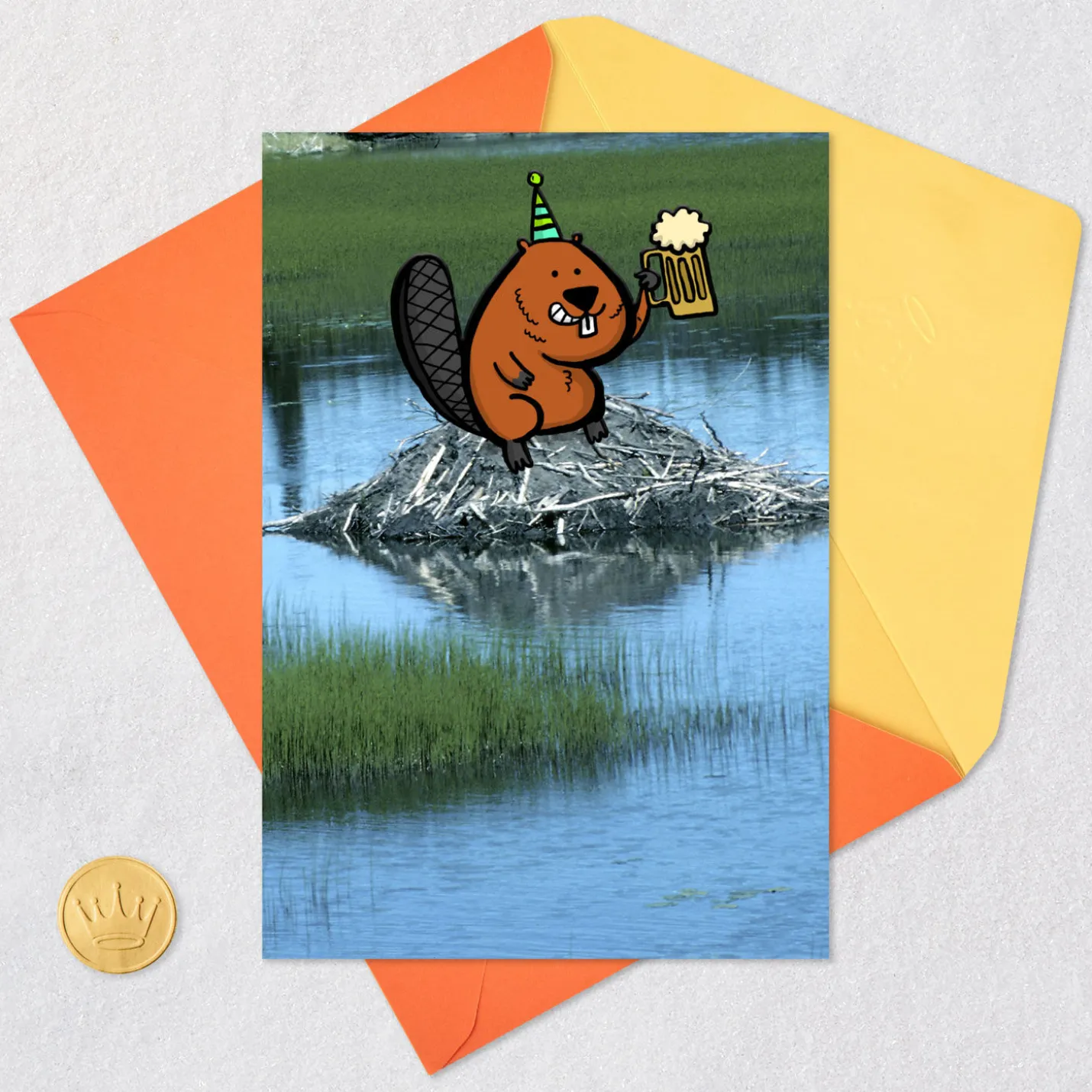 Another Dam Birthday Funny Birthday Card