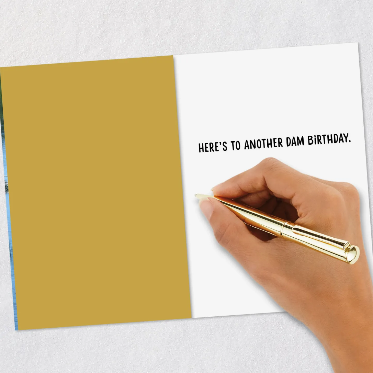 Another Dam Birthday Funny Birthday Card