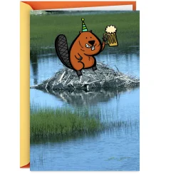 Another Dam Birthday Funny Birthday Card