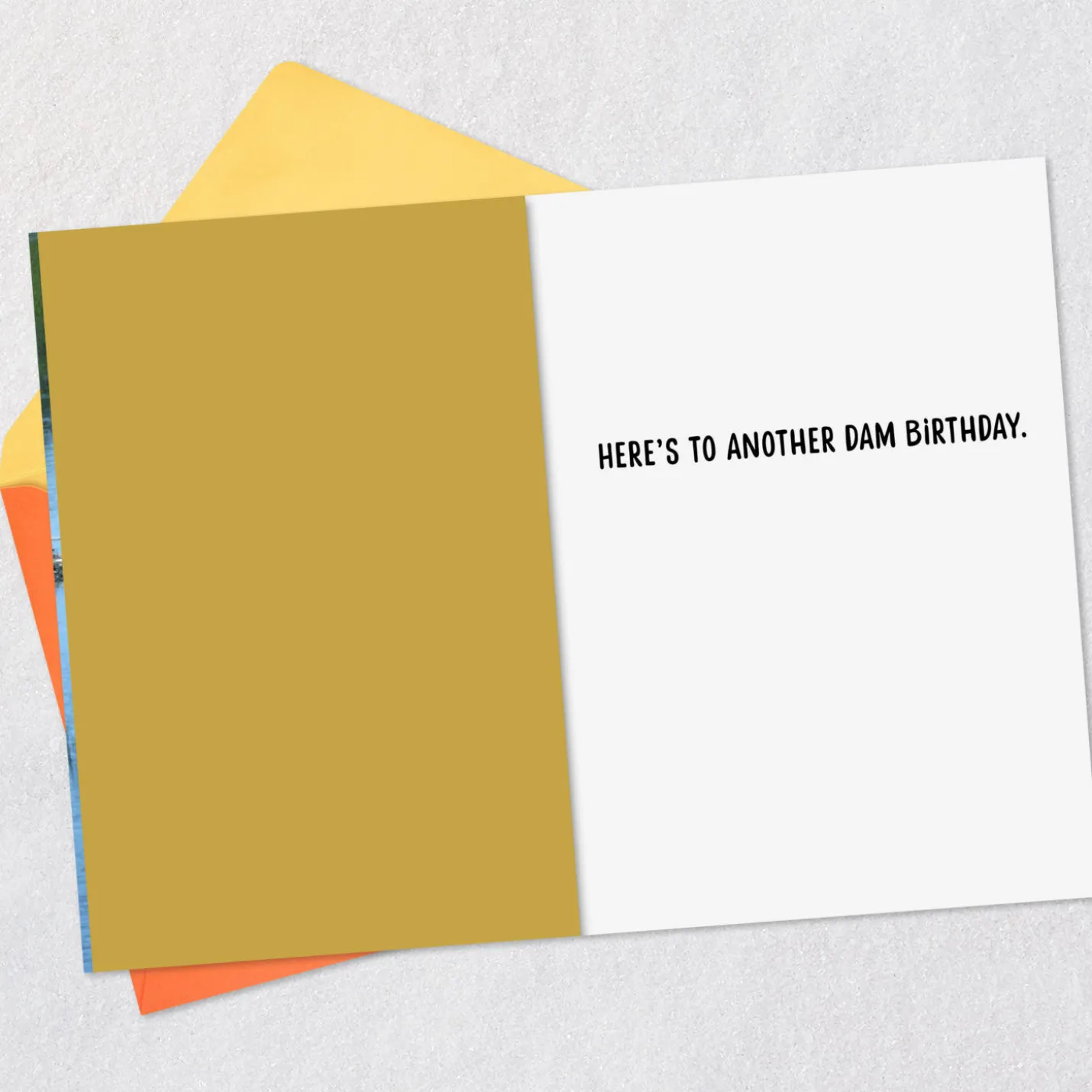 Another Dam Birthday Funny Birthday Card