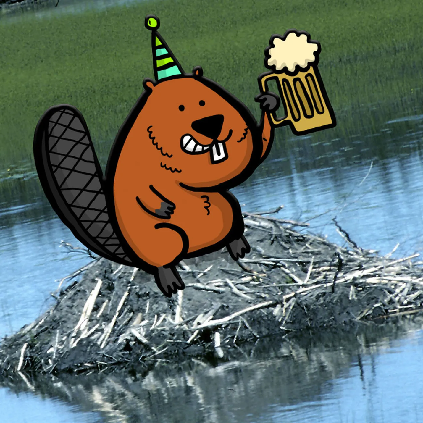 Another Dam Birthday Funny Birthday Card