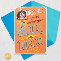 Another Year Older and Wiser Funny Pop-Up Birthday Card for Brother