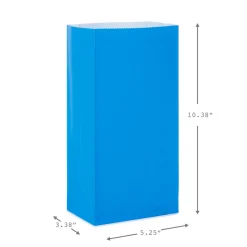 Assorted Colors Paper Goodie Bags, Pack of 30