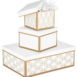 Assorted Nesting Boxes 3-Pack With Shredded Paper Filler