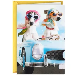 A Sun-in-Your-Face Kind of Day Funny Birthday Card