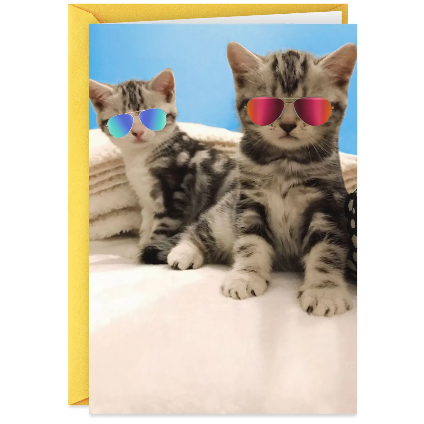Awesome Cats in Reflective Sunglasses Funny Friendship Card