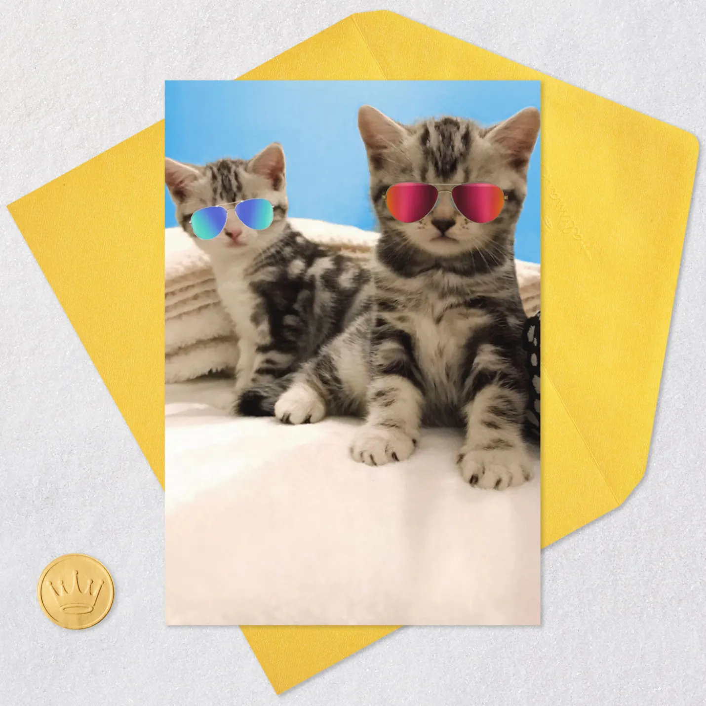 Awesome Cats in Reflective Sunglasses Funny Friendship Card