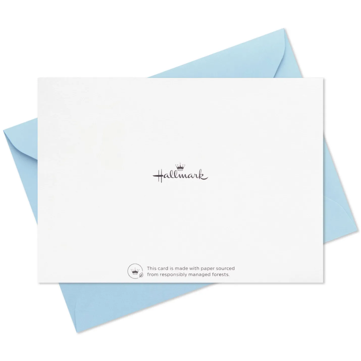 A World of Thanks Boxed Blank Thank-You Notes, Pack of 10