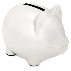 Baby's First Piggy Bank