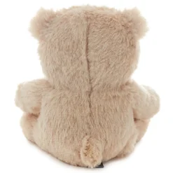 Bear Plush Gift Card Holder
