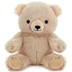 Bear Plush Gift Card Holder