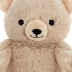 Bear Plush Gift Card Holder