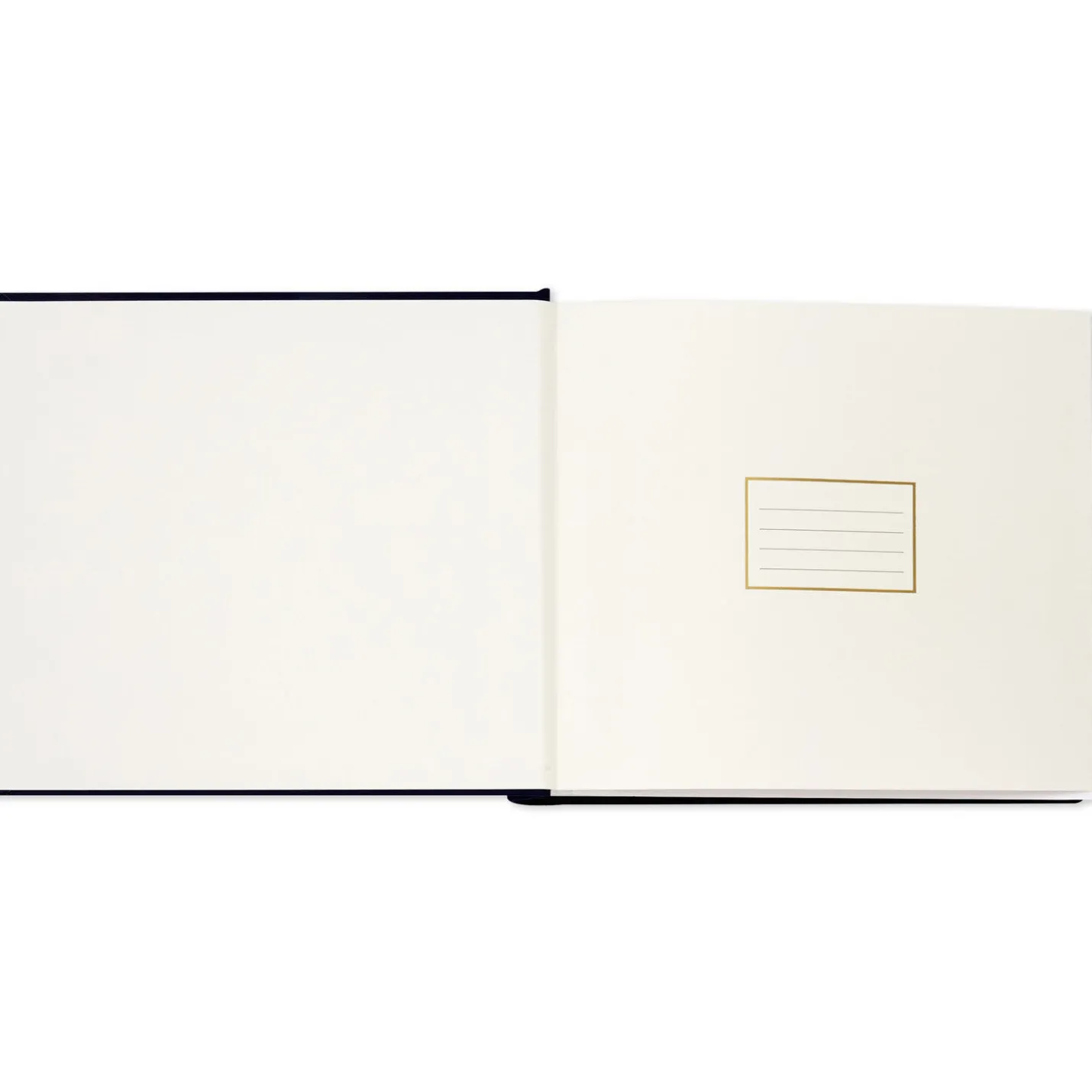 Best Day Ever Gold on Navy Linen Photo Album