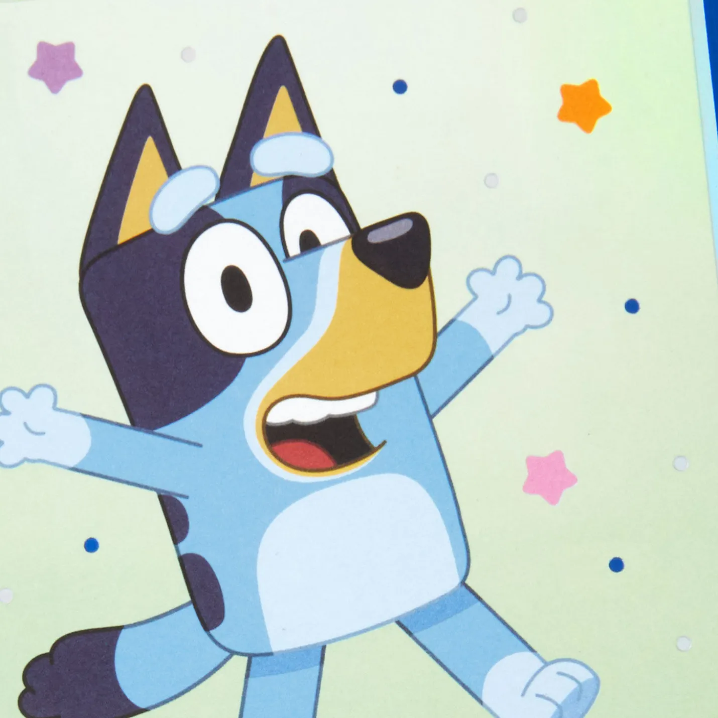 Bluey Maximum Fun Birthday Card for Kids