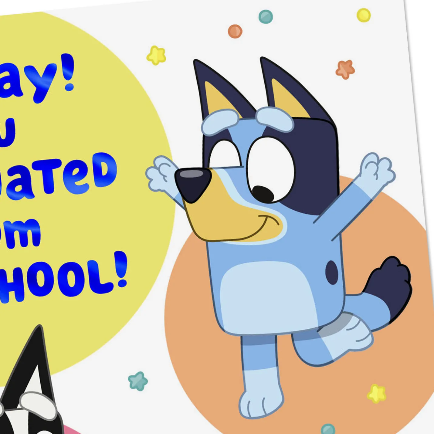 Bluey Time to Celebrate Preschool Graduation Card