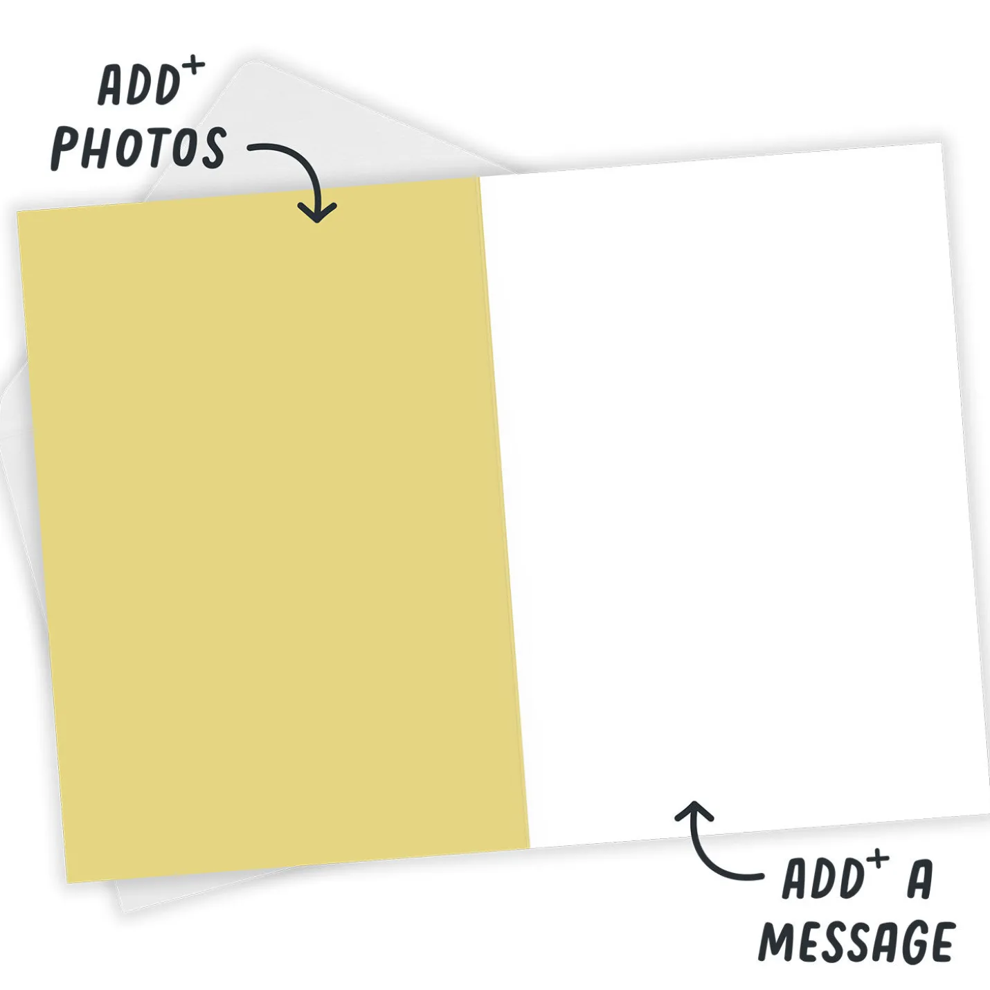 Bold Daisies Blank Custom Card