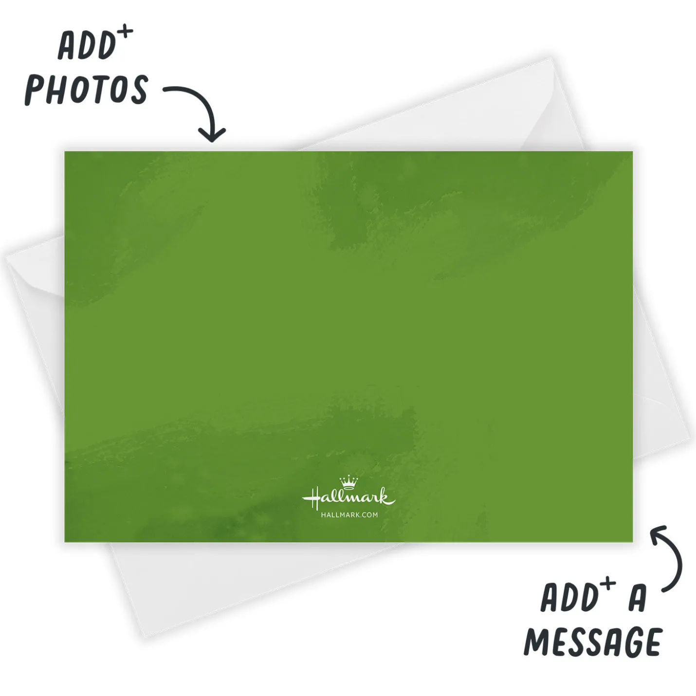 Bold Holly Flat Holiday Photo Card
