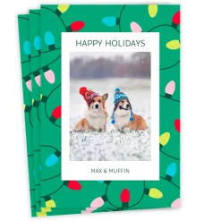 Bold String Lights Flat Holiday Photo Card