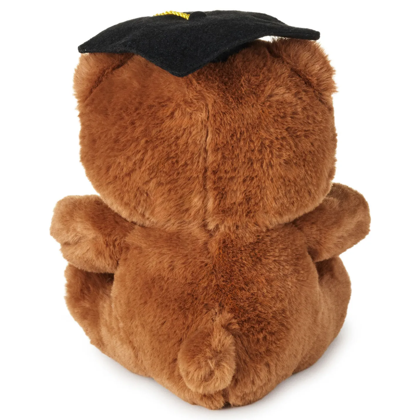 Brown Bear in Grad Cap Plush, 8.5"