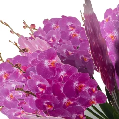 Build-a-Bouquet Fuchsia Orchids Pop-Up Paper Flowers