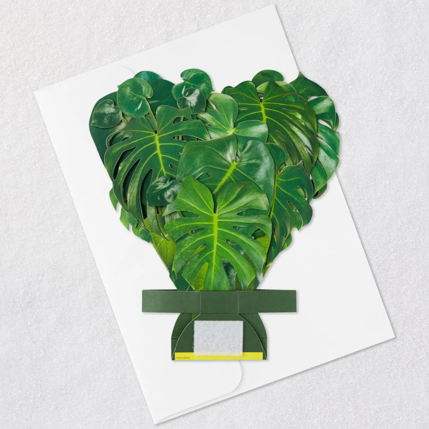 Build-a-Bouquet Monstera Pop-Up Paper Plant
