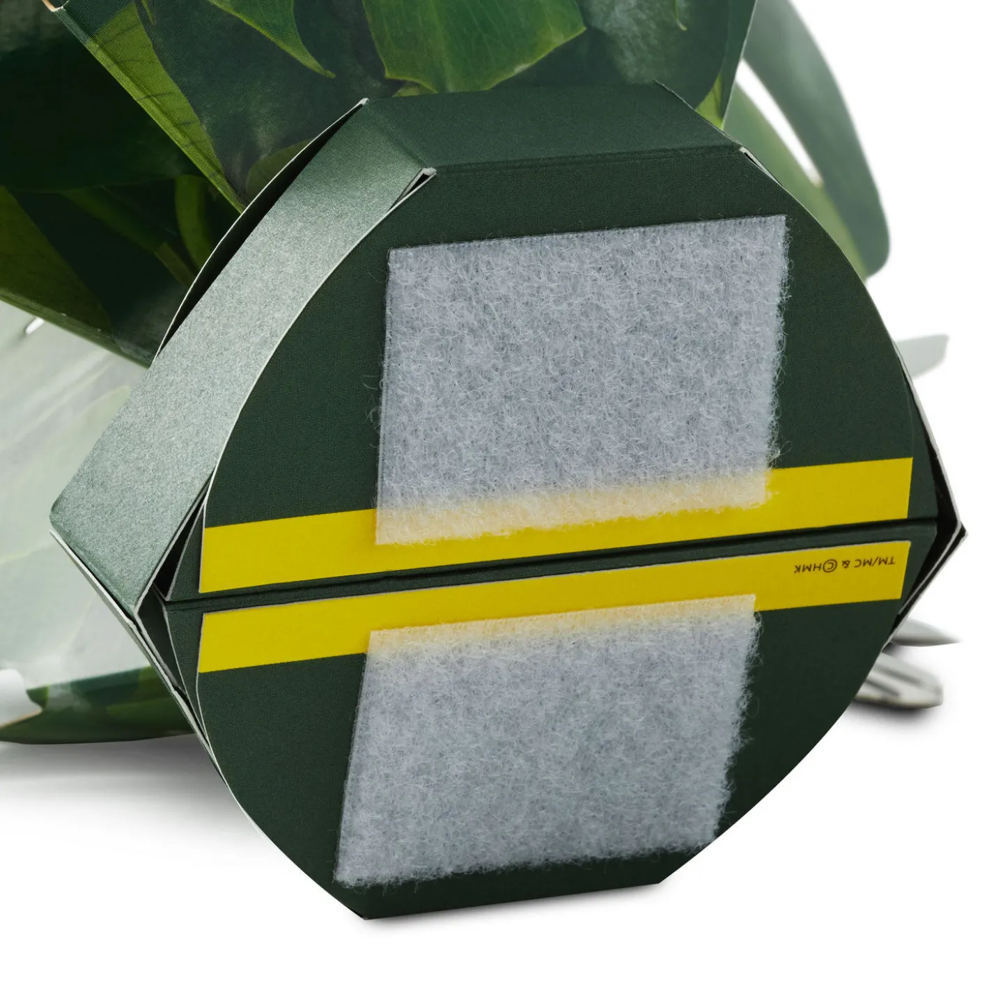 Build-a-Bouquet Monstera Pop-Up Paper Plant